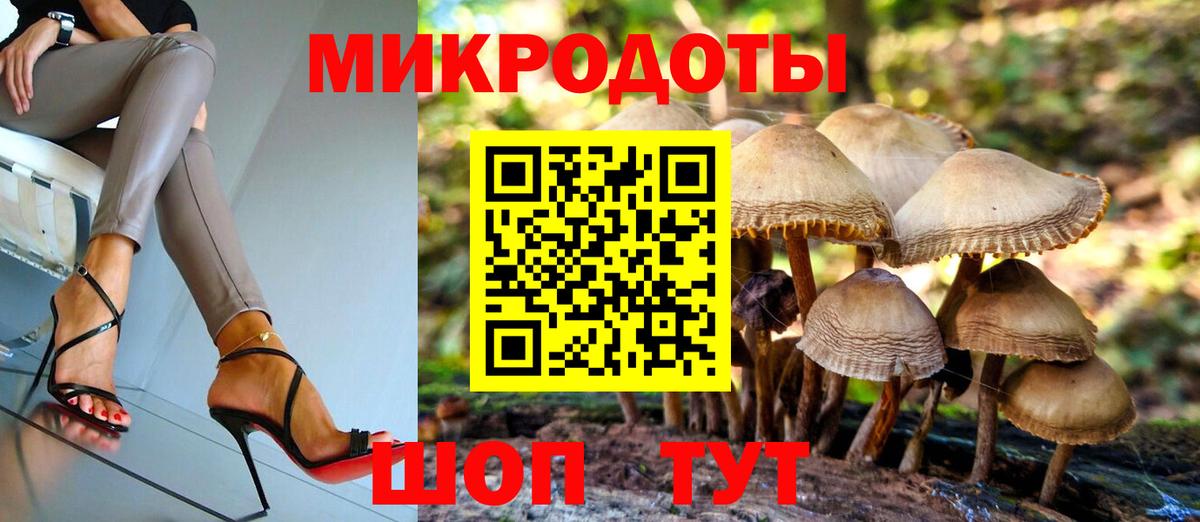 Псилоцибиновые грибы мухоморы Вязьма