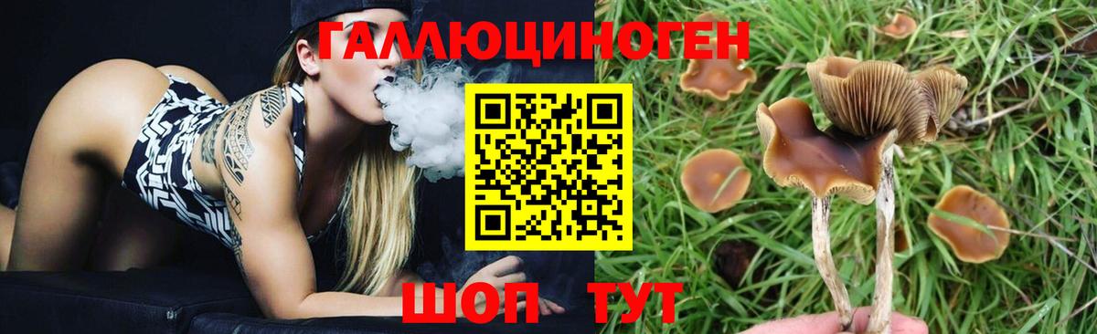Псилоцибиновые грибы MAGIC MUSHROOMS  Вход с VPN  Вязьма 