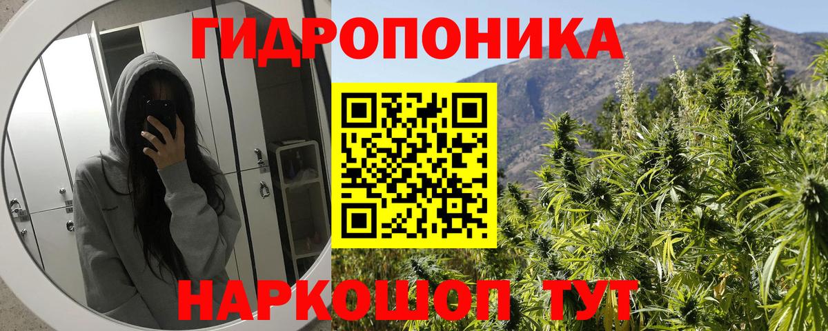 Канабис OG Kush  Конопля ГИДРОПОН  Каннабис конопля  Вход с VPN  Вязьма 